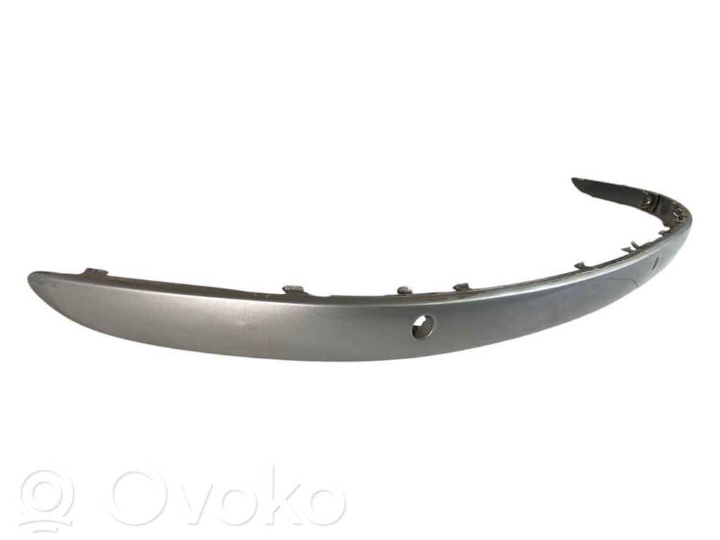 Decorative rear bumper strips