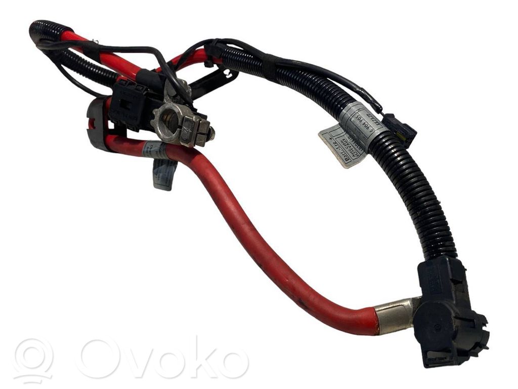 Plusa vads (akumulatora)