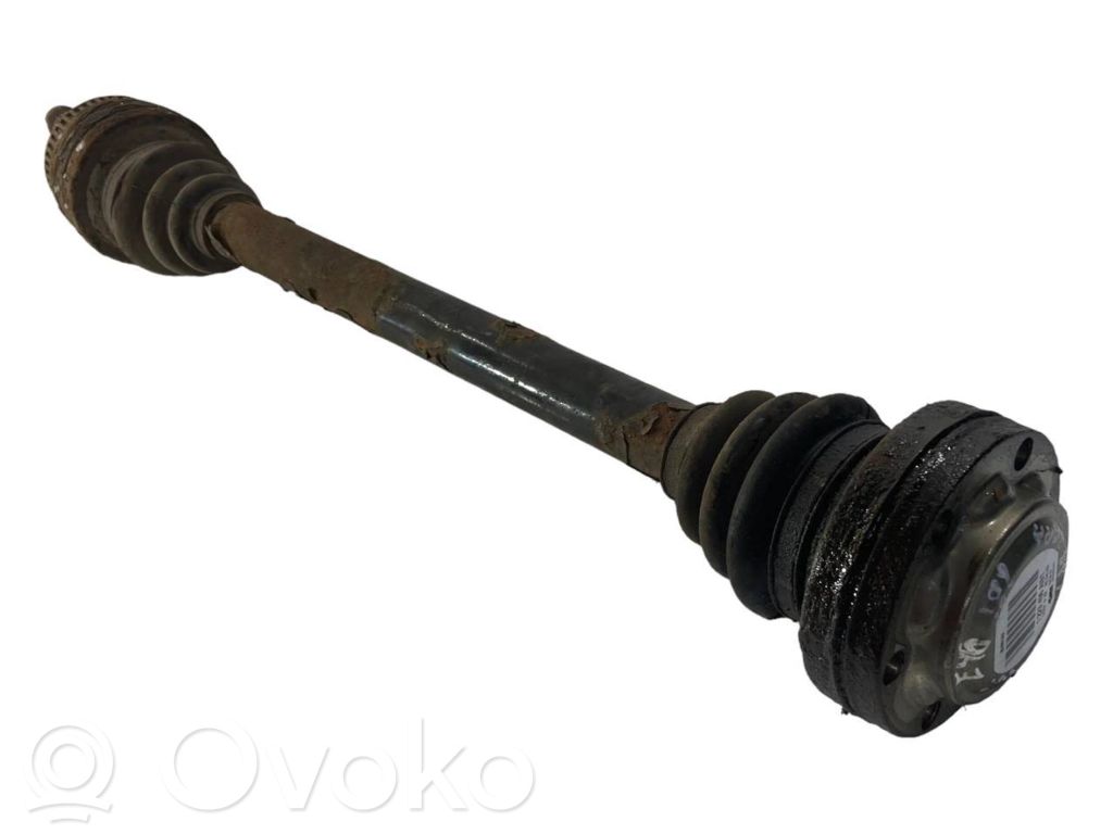 Aizmugurējā pusass