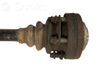 Aizmugurējā pusass