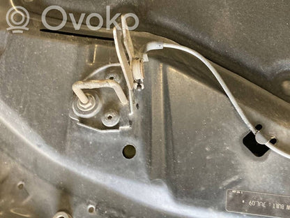 Dzinēja pārsegs (vāks)