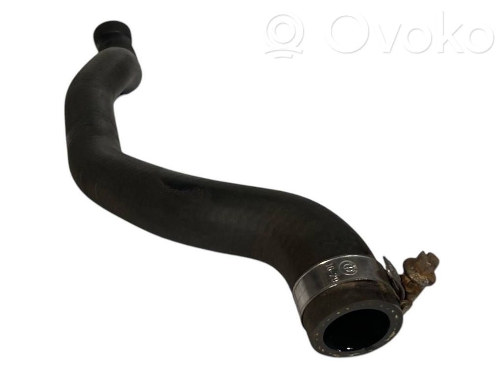 Caurulīte (-es) / šļūtene (-es)