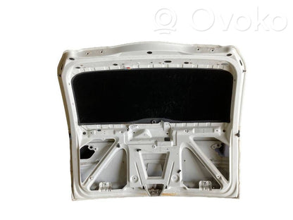 Aizmugurējais pārsegs (bagāžnieks)