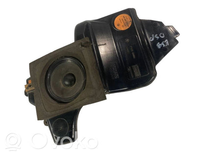Speaker(s) in the rear door