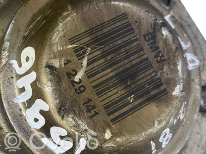 Aizmugurējā pusass