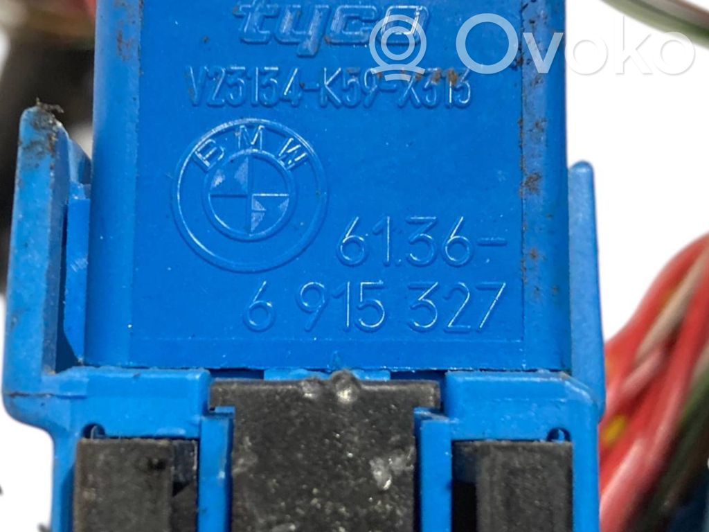 Engine wiring harness