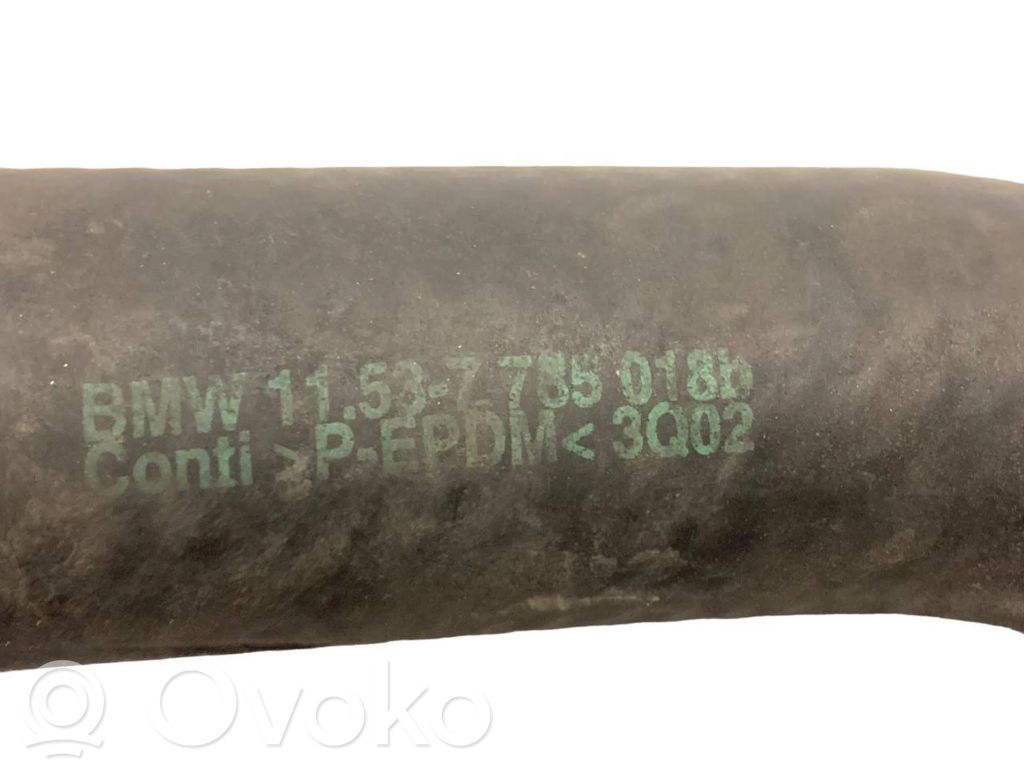 Caurulīte (-es) / šļūtene (-es)