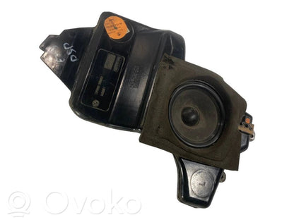 Динамик(и) в задней двери