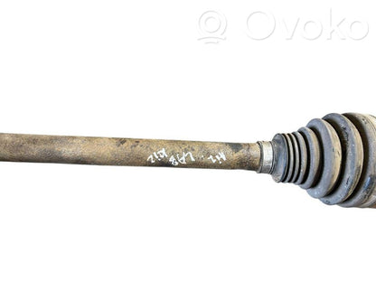 Aizmugurējā pusass