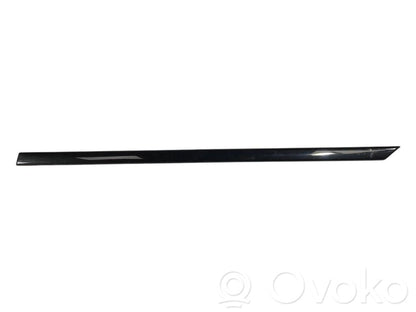 Aizmugurē durvju dekoratīvā apdare (moldings)