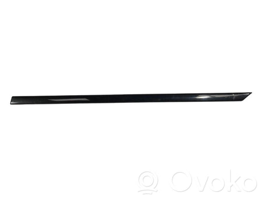 Rear door decorative trim (moulding)