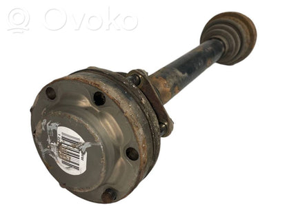 Aizmugurējā pusass