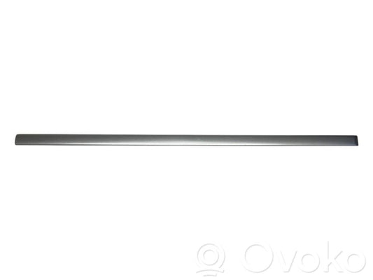 Front door decorative trim (molding)