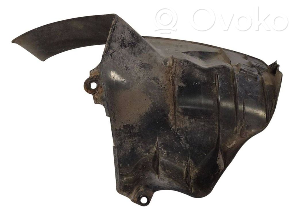 Aizmugurējais apakšspārns