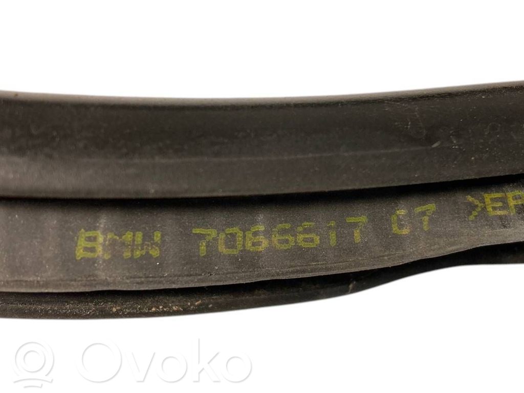 Front trim rubber (in the body)