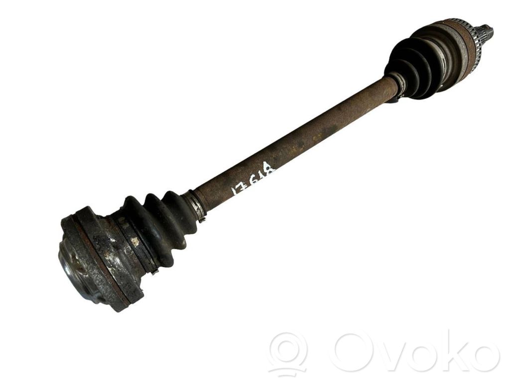 Aizmugurējā pusass