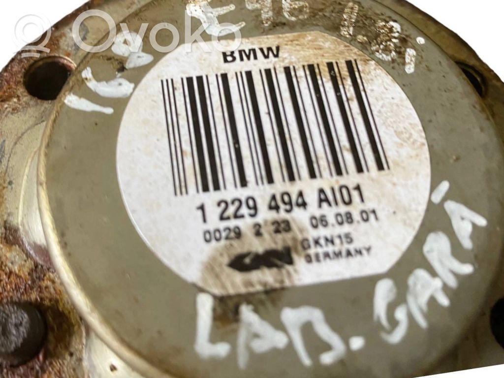 Aizmugurējā pusass