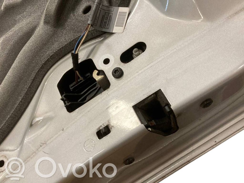 Aizmugurējās durvis