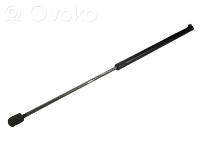 Bagāžnieka amortizators
