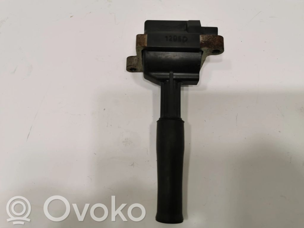 High voltage coil (for ignition)