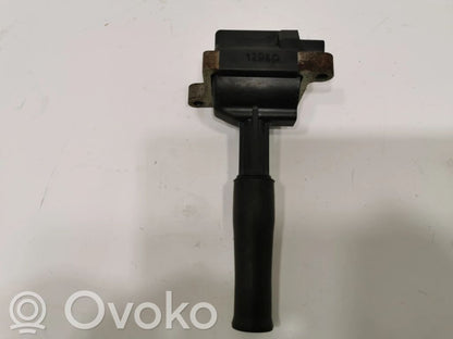 High voltage coil (for ignition)