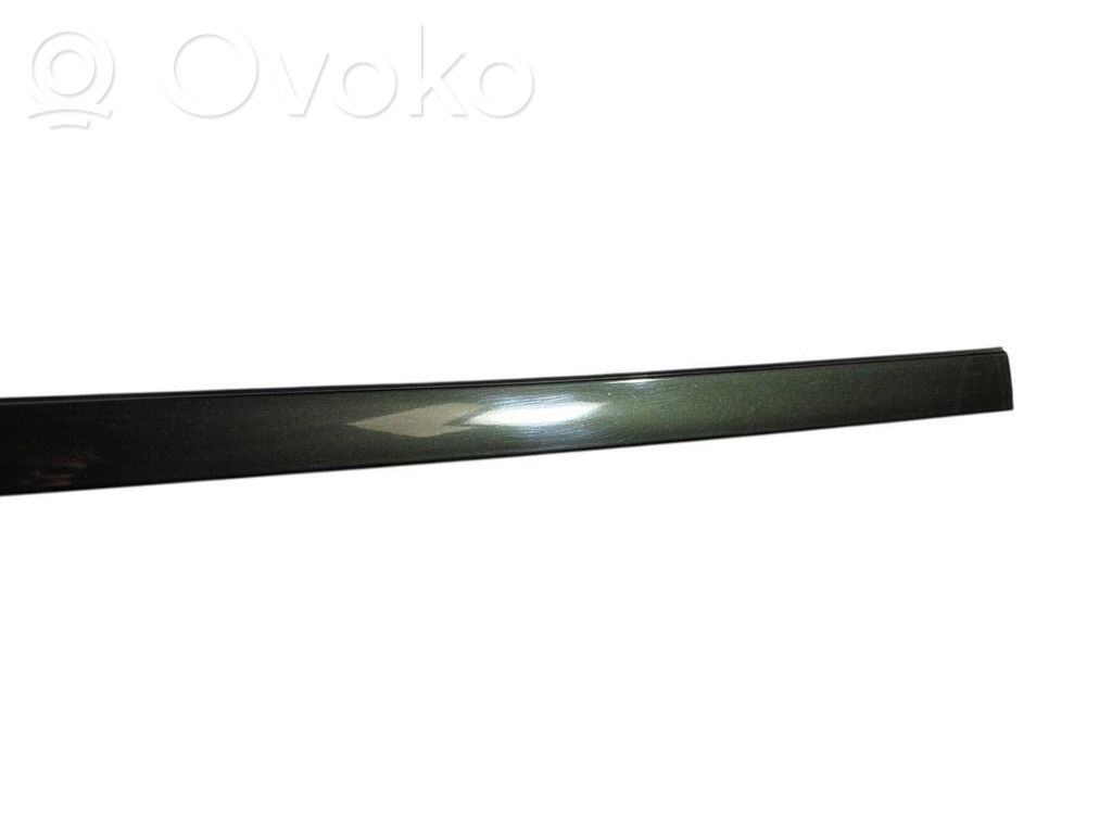 Aizmugurē durvju dekoratīvā apdare (moldings)