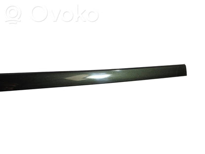 Aizmugurē durvju dekoratīvā apdare (moldings)