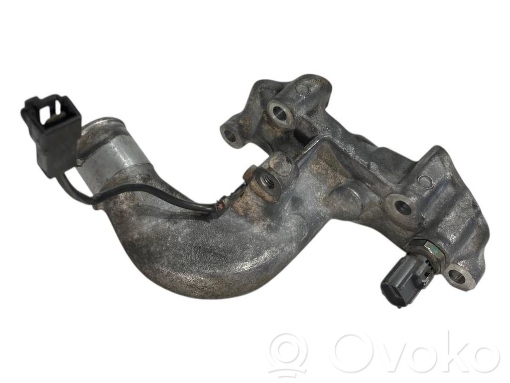 Caurulīte (-es) / šļūtene (-es)