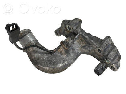 Caurulīte (-es) / šļūtene (-es)