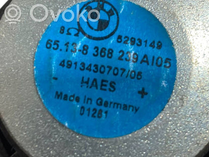 Skaļrunis (-i) pakaļējās durvīs