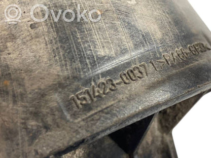 Aizmugurē gaisa spilvens