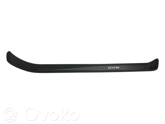 Front sill trim (inner)
