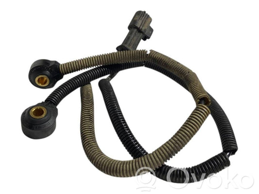 Detonācijas sensors