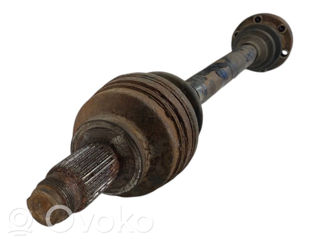 Aizmugurējā pusass