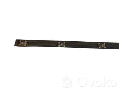 Priekšpusē durvju dekoratīvā apdare (moldings)