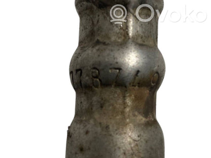 Caurule (-es) / šļūtene (-es)