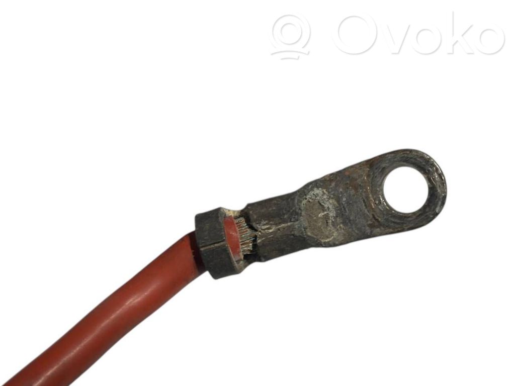 Plusa vads (akumulatora)