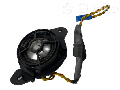 Speaker(s) in the rear door