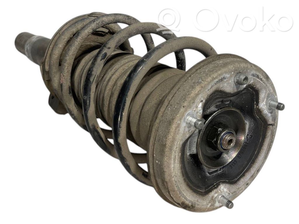 Front shock absorber with spring
