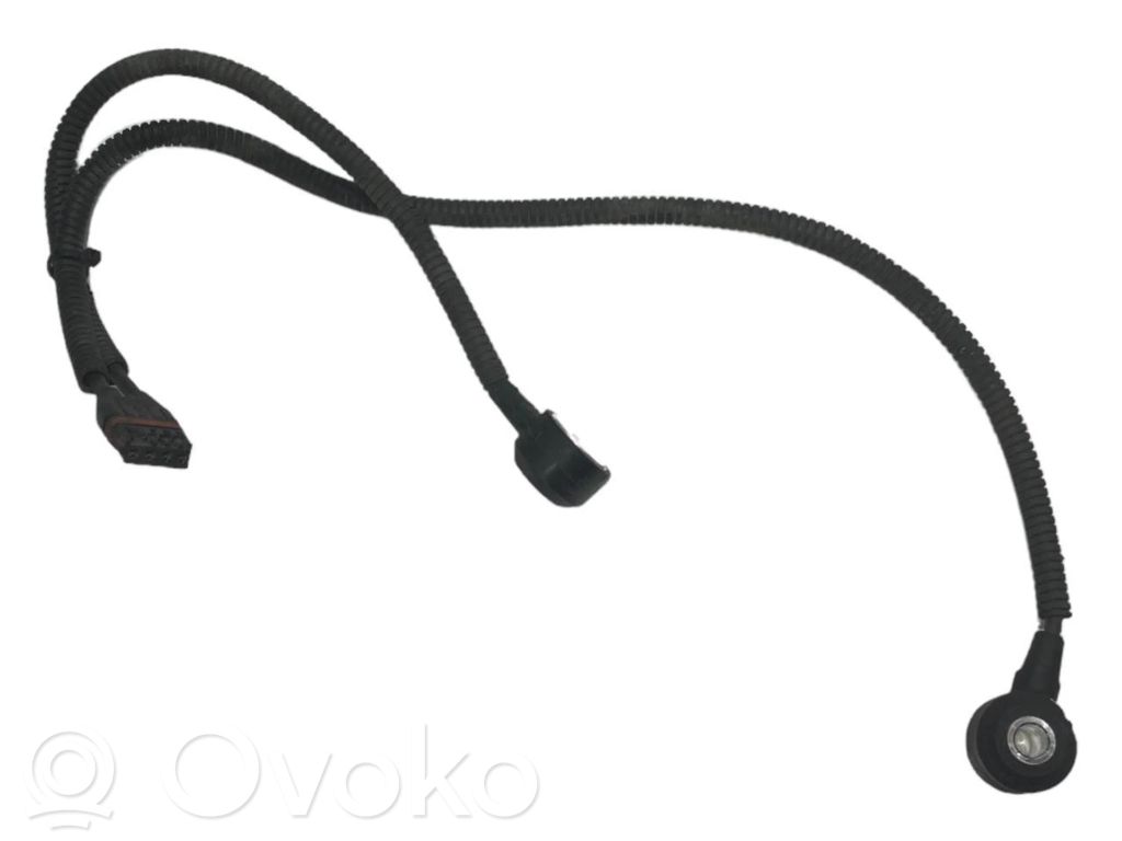 Detonācijas sensors