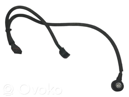 Detonācijas sensors