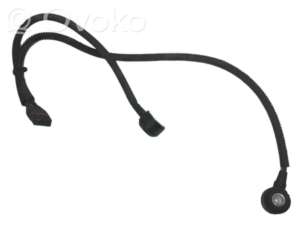 Knock sensor