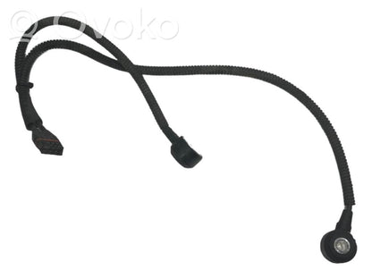 Knock sensor