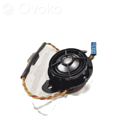 Speaker(s) in the rear door