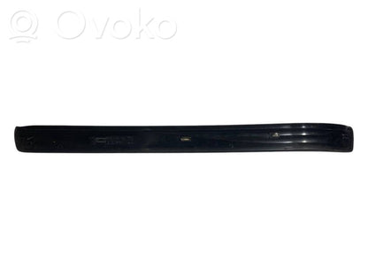 Front sill trim (inner)