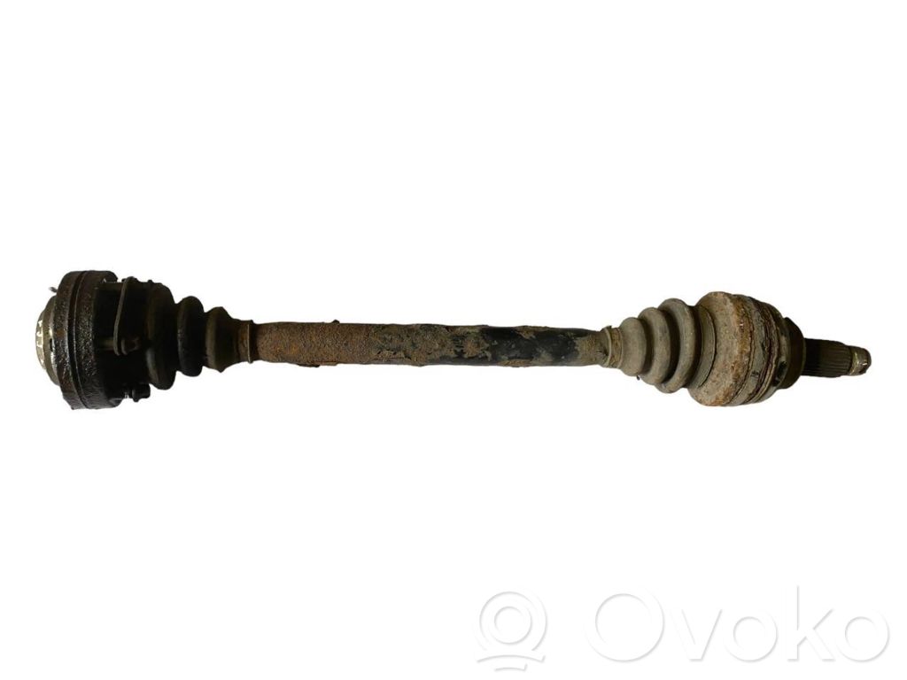 Aizmugurējā pusass