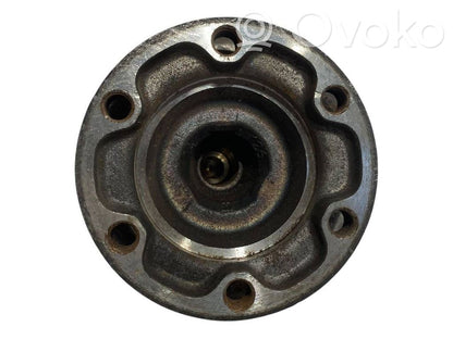 Aizmugurējā pusass