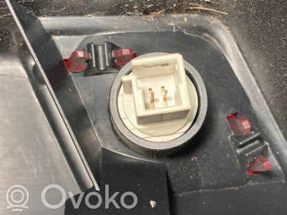 Bagāžnieka dekoratīvā apdare