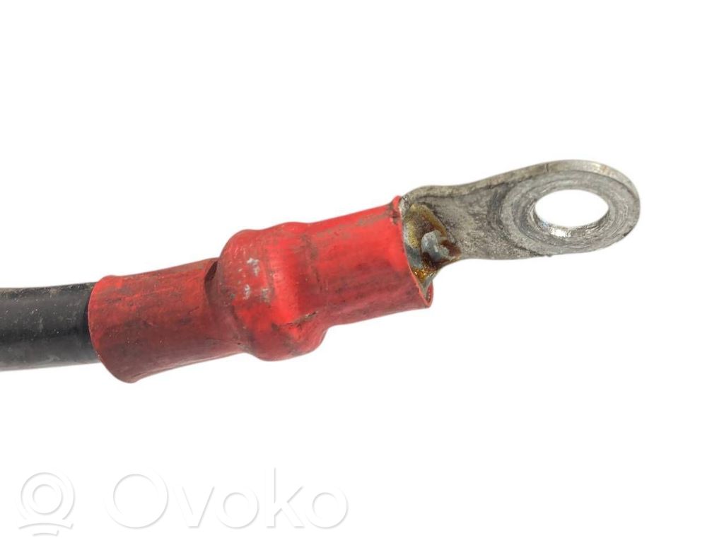 Plusa vads (akumulatora)