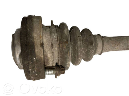 Aizmugurējā pusass